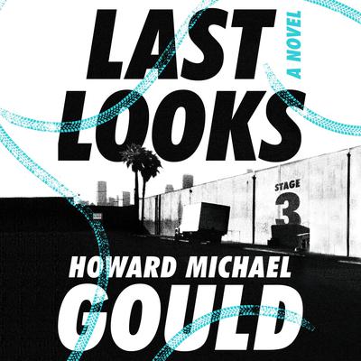 Last Looks: A Novel Audiobook, by Howard Michael Gould