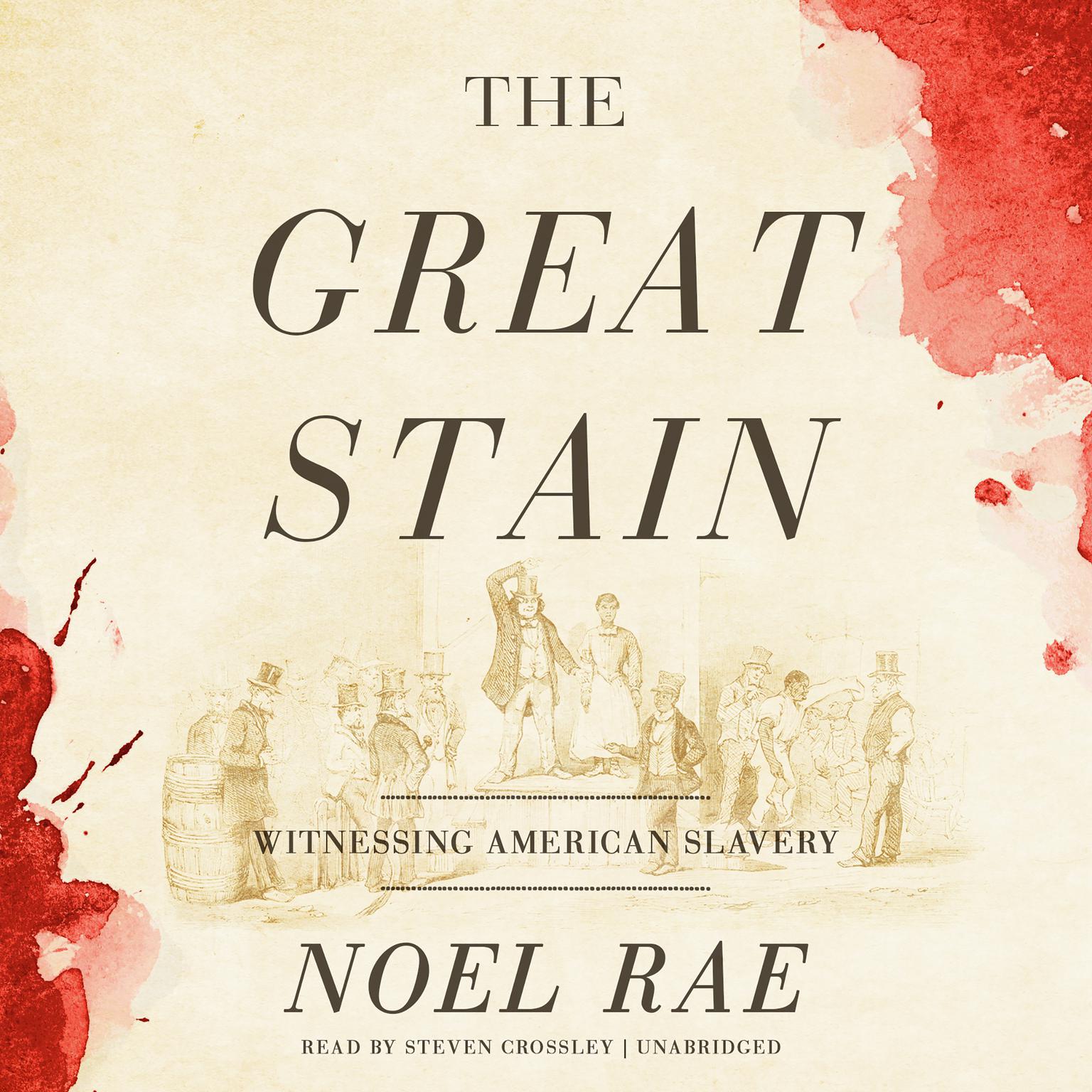 The Great Stain: Witnessing American Slavery Audiobook, by Noel Rae