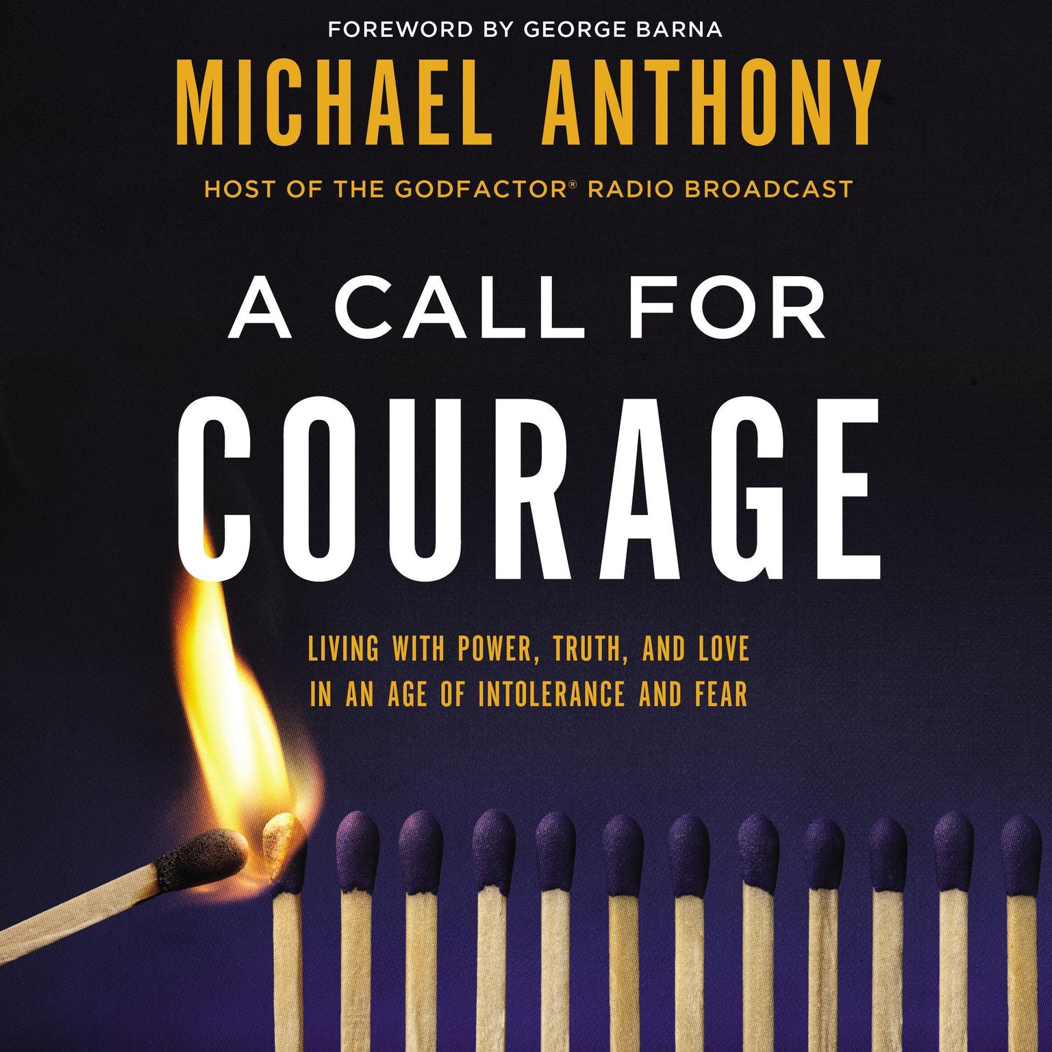 A Call for Courage: Living with Power, Truth, and Love in an Age of Intolerance and Fear Audiobook, by Michael Anthony
