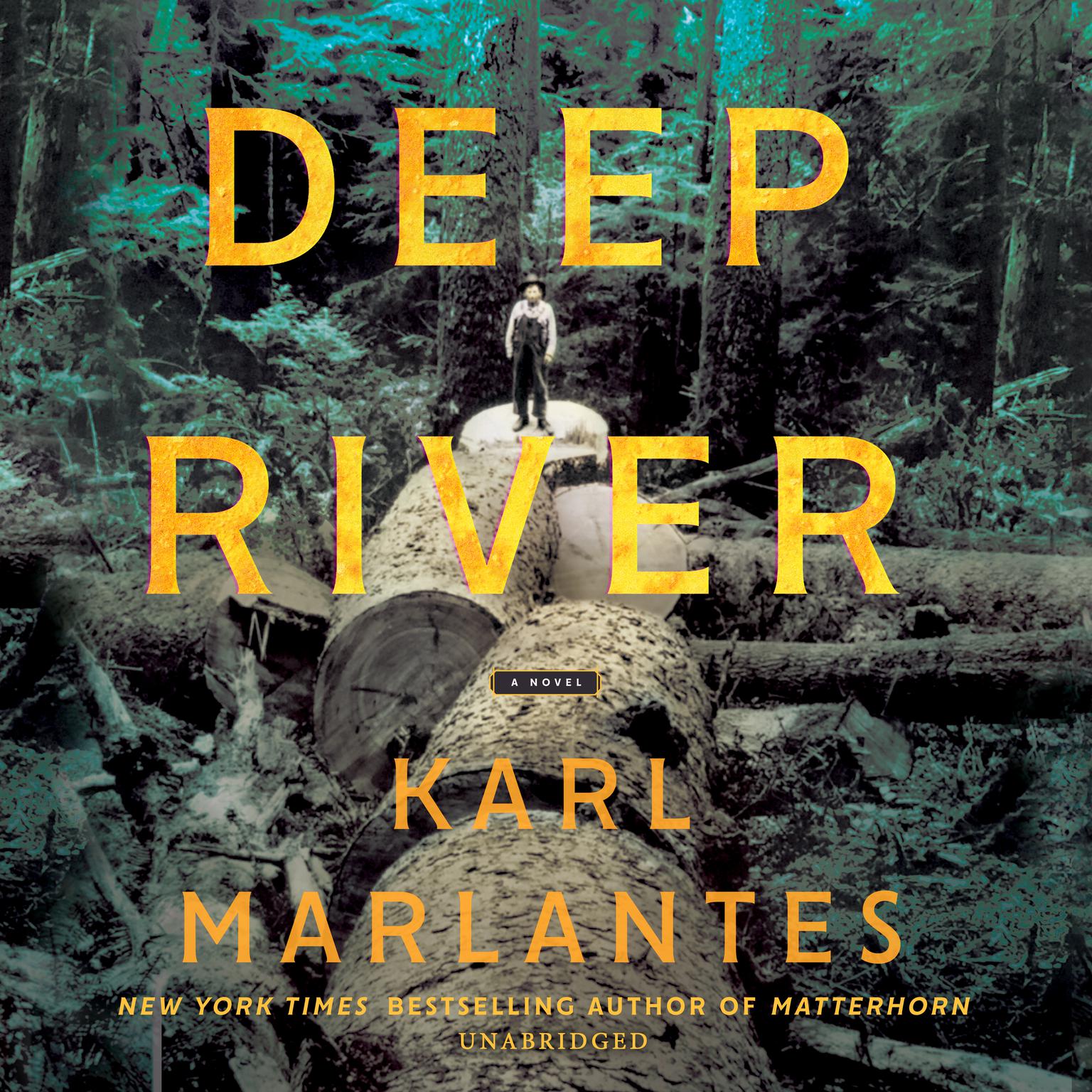 Deep River: A Novel Audiobook, by Karl Marlantes