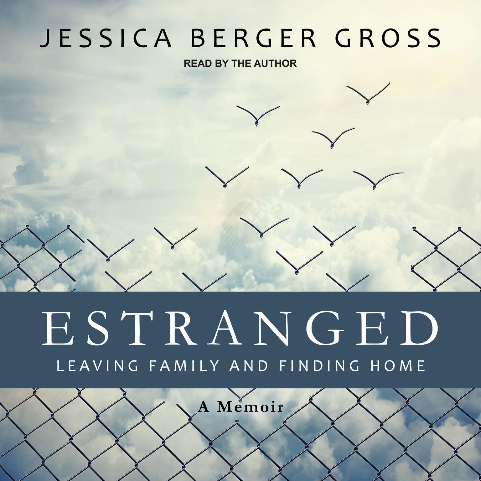 Estranged: Leaving Family and Finding Home Audiobook, by Jessica Berger Gross