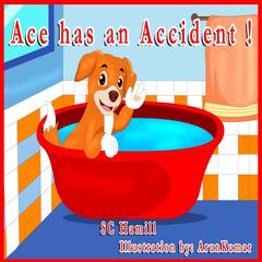 ACE has an ACCIDENT!  Audiobook, by S. C. Hamill