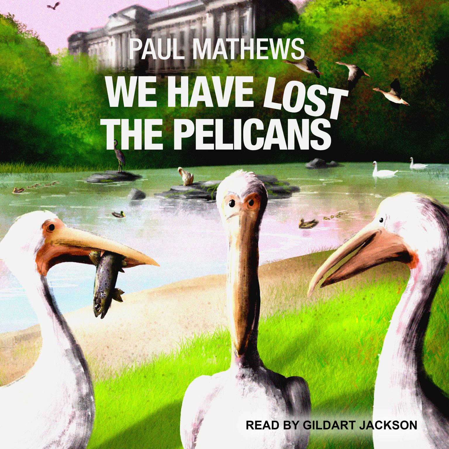 We Have Lost The Pelicans Audiobook, by Paul Mathews