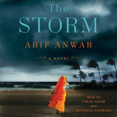 The Storm: A Novel Audiobook, by Arif Anwar