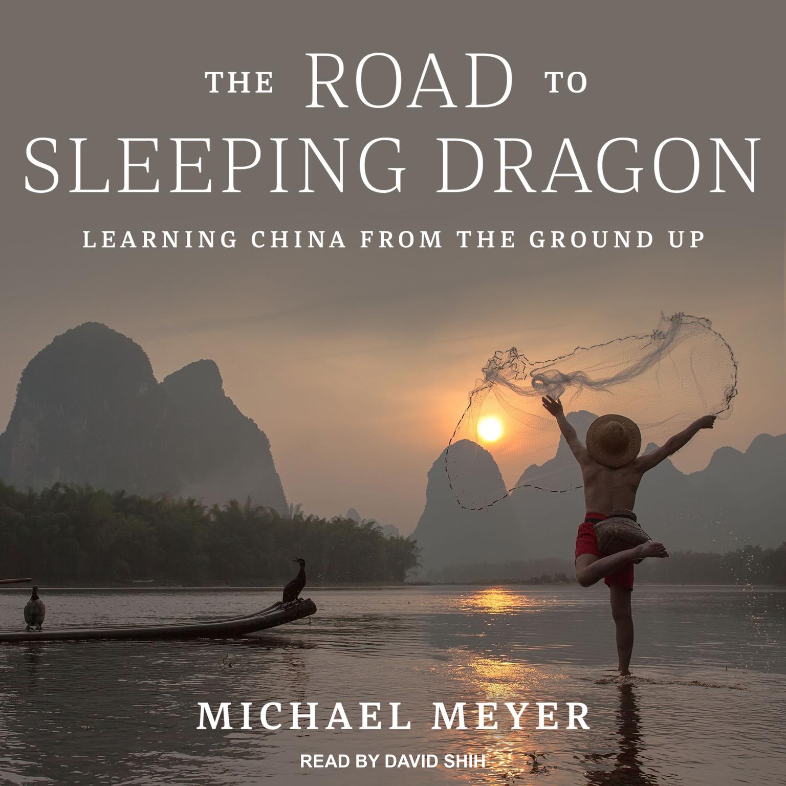 The Road to Sleeping Dragon: Learning China from the Ground Up Audiobook, by Michael Meyer