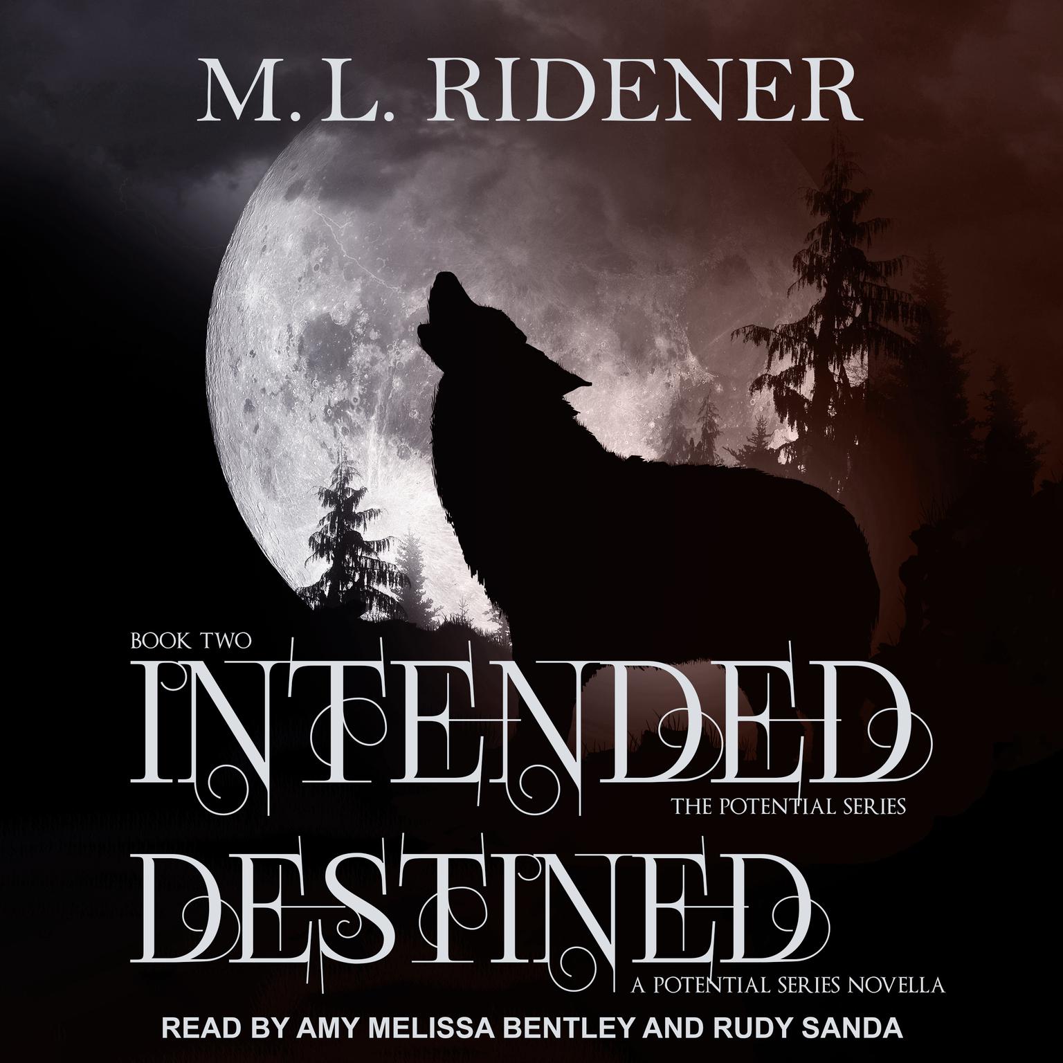 Intended and Destined Audiobook, by M.L. Ridener