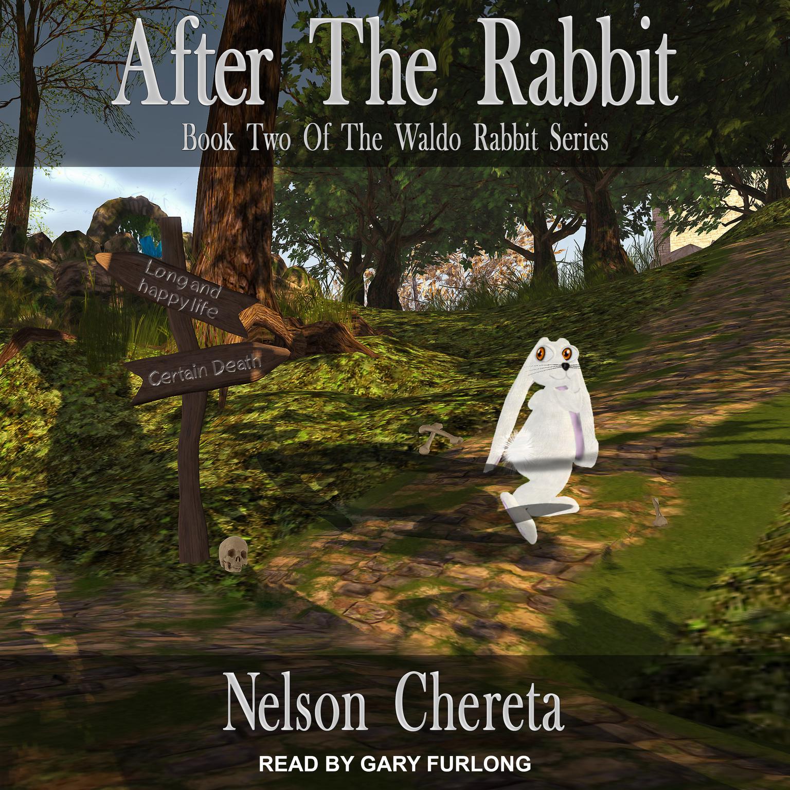 After The Rabbit Audiobook, by Nelson Chereta