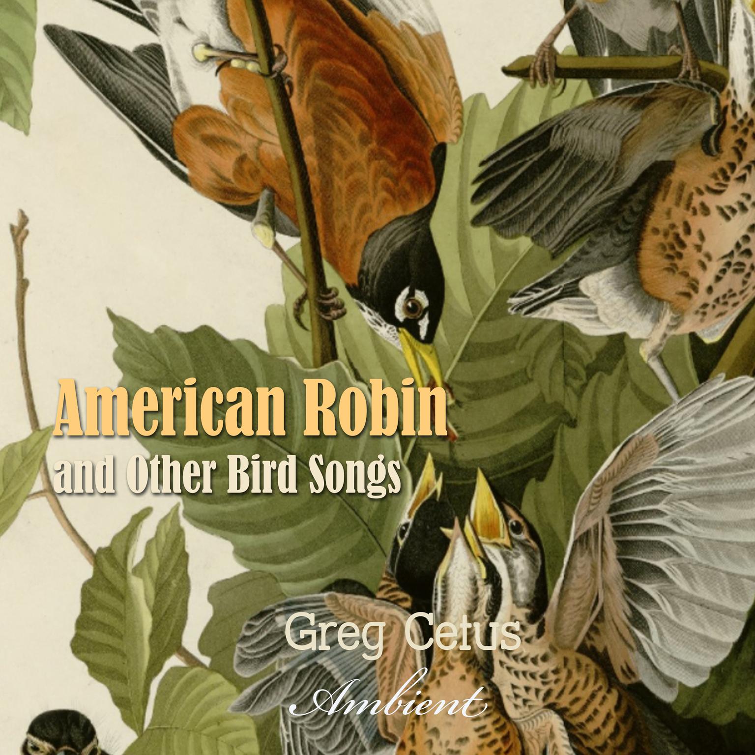 American Robin and Other Bird Songs: Nature Sounds for Mindfulness Audiobook, by Greg Cetus