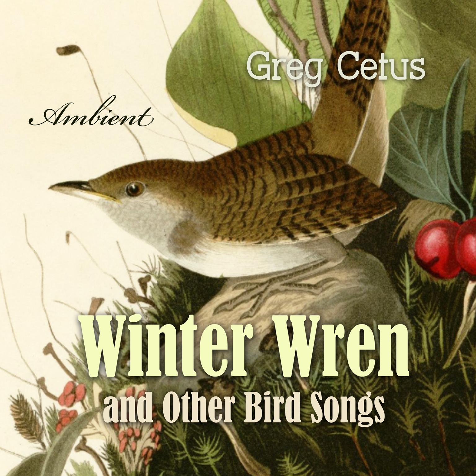 Winter Wren and Other Bird Songs: Nature Sounds for Mindfullness Audiobook, by Greg Cetus