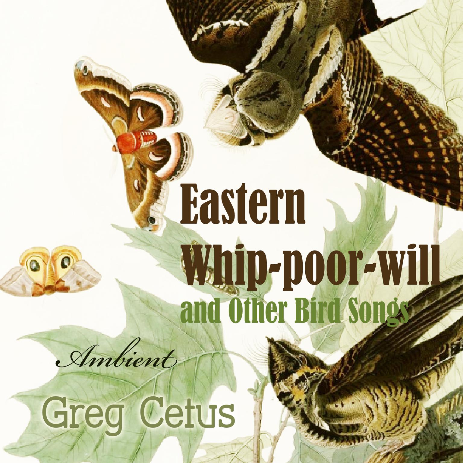 Eastern Whip-poor-will and Other Bird Songs: Nature Sounds for Trance and Meditation Audiobook, by Greg Cetus