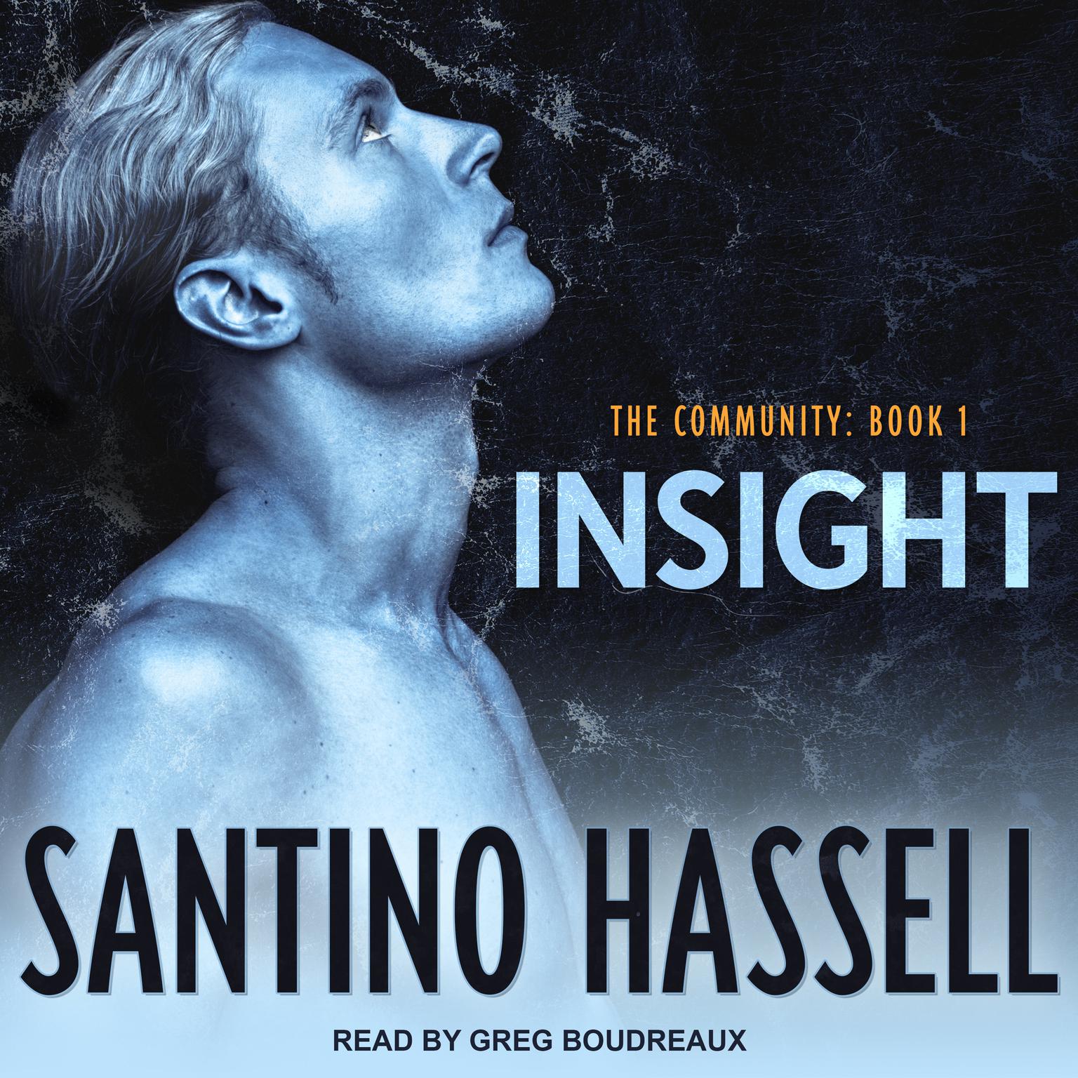 Insight Audiobook, by Santino Hassell