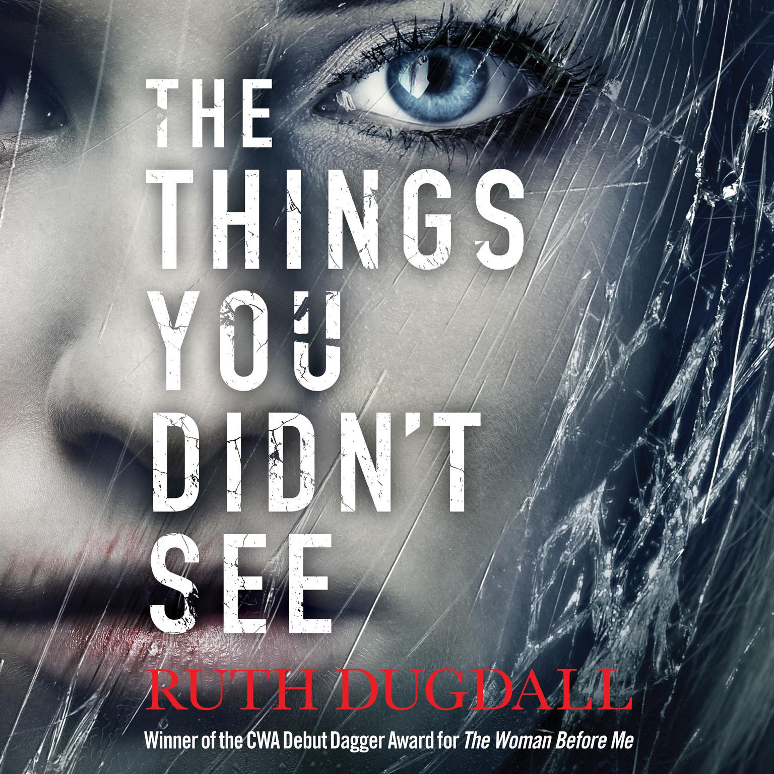 The Things You Didn’t See Audiobook, by Ruth Dugdall