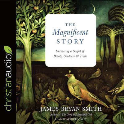 Magnificent Story: Uncovering a Gospel of Beauty, Goodness, and Truth Audiobook, by James Bryan Smith