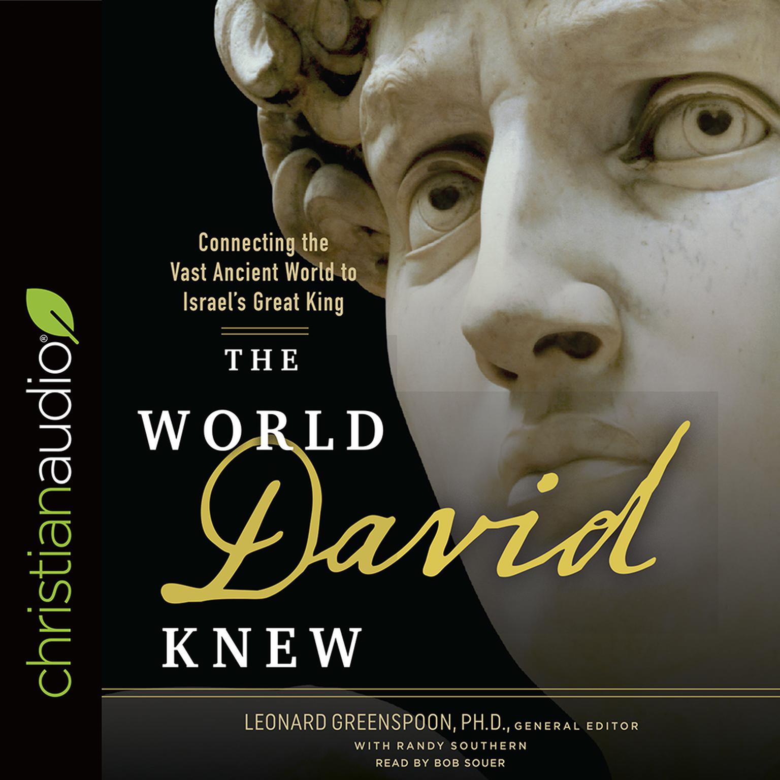 World David Knew: Connecting the Vast Ancient World to Israels Great King Audiobook, by Randy Southern