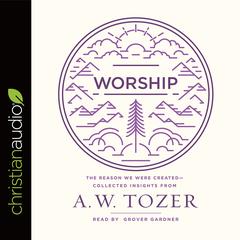 Worship: The Reason We Were Created-Collected Insights from A. W. Tozer Audiobook, by A. W. Tozer
