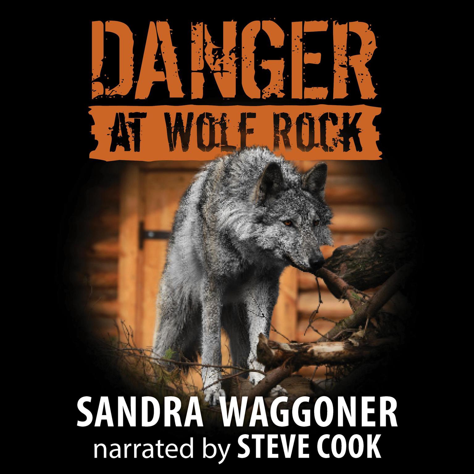 Danger at Wolf Rock Audiobook, by Sandra Waggoner