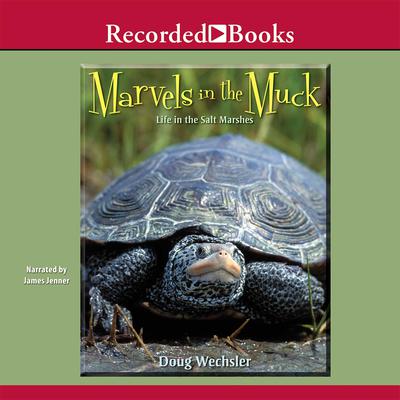 Marvels in the Muck: Life in the Salt Marshes Audiobook, by Doug Wechsler