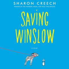 Saving Winslow Audiobook, by 