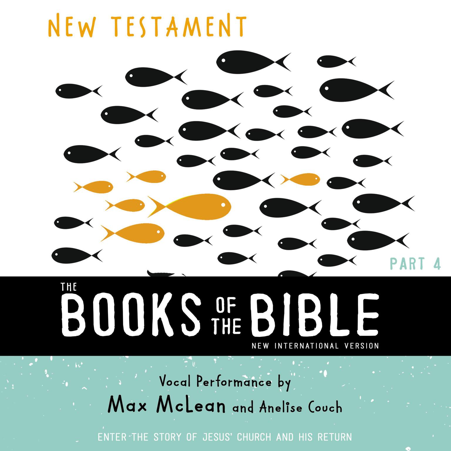 The Books of the Bible Audio Bible - New International Version, NIV: New Testament: Enter the Story of Jesus’ Church and His Return Audiobook, by Zondervan