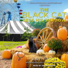 The Black Cat Sees His Shadow Audiobook, by Kay Finch