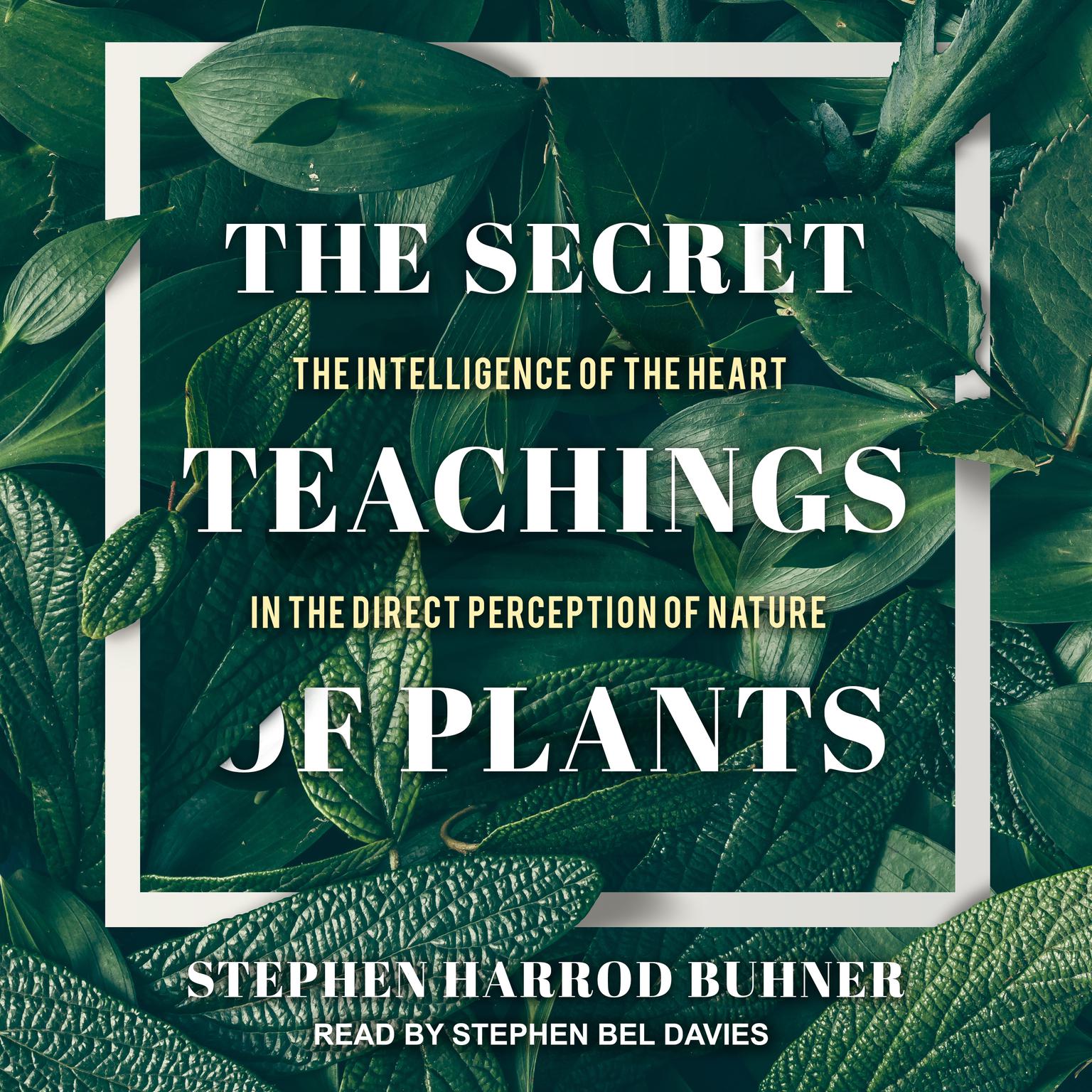 The Secret Teachings of Plants: The Intelligence of the Heart in the Direct Perception of Nature Audiobook, by Stephen Harrod Buhner