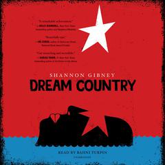 Dream Country Audiobook, by Shannon Gibney