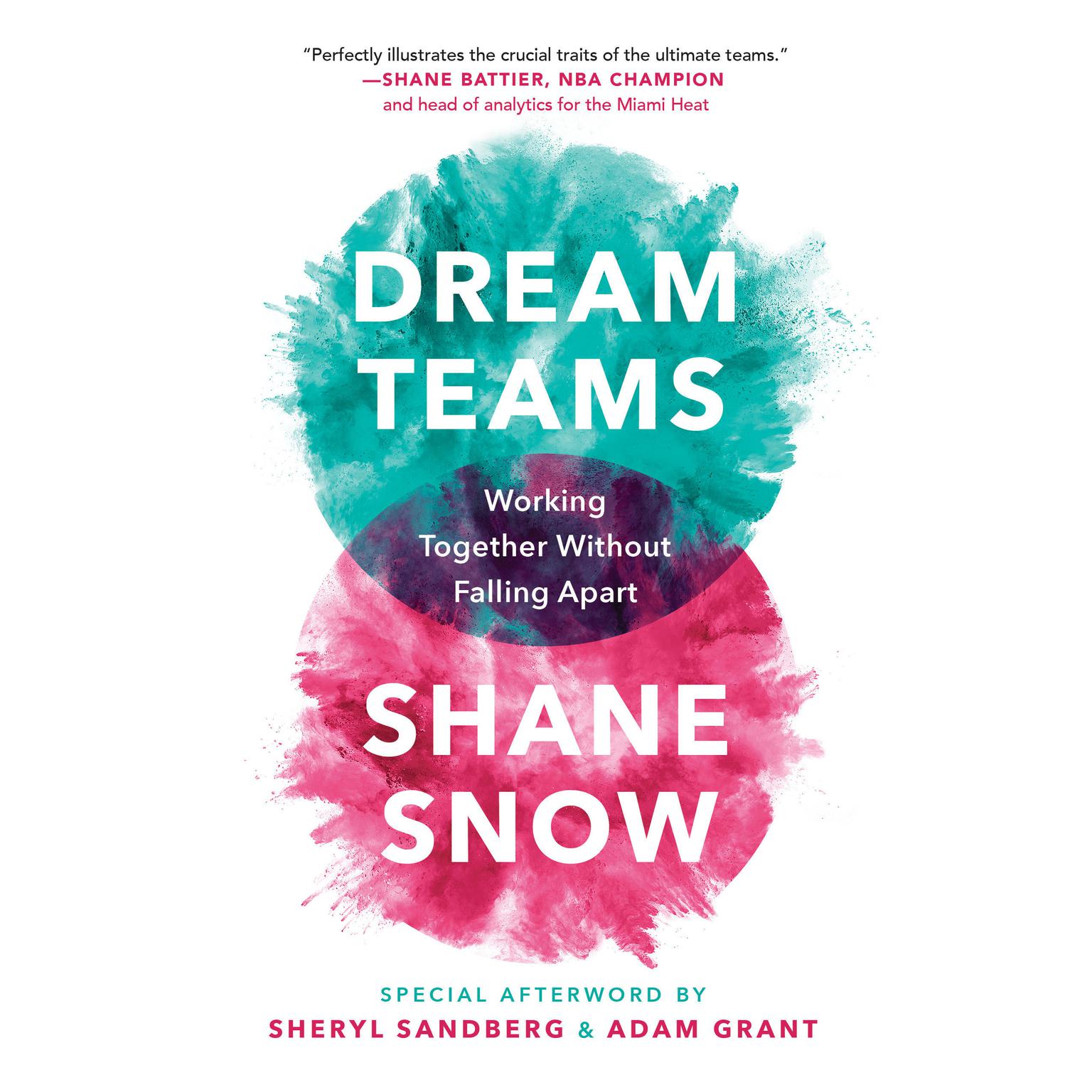 Dream Teams: Working Together Without Falling Apart Audiobook, by Shane Snow