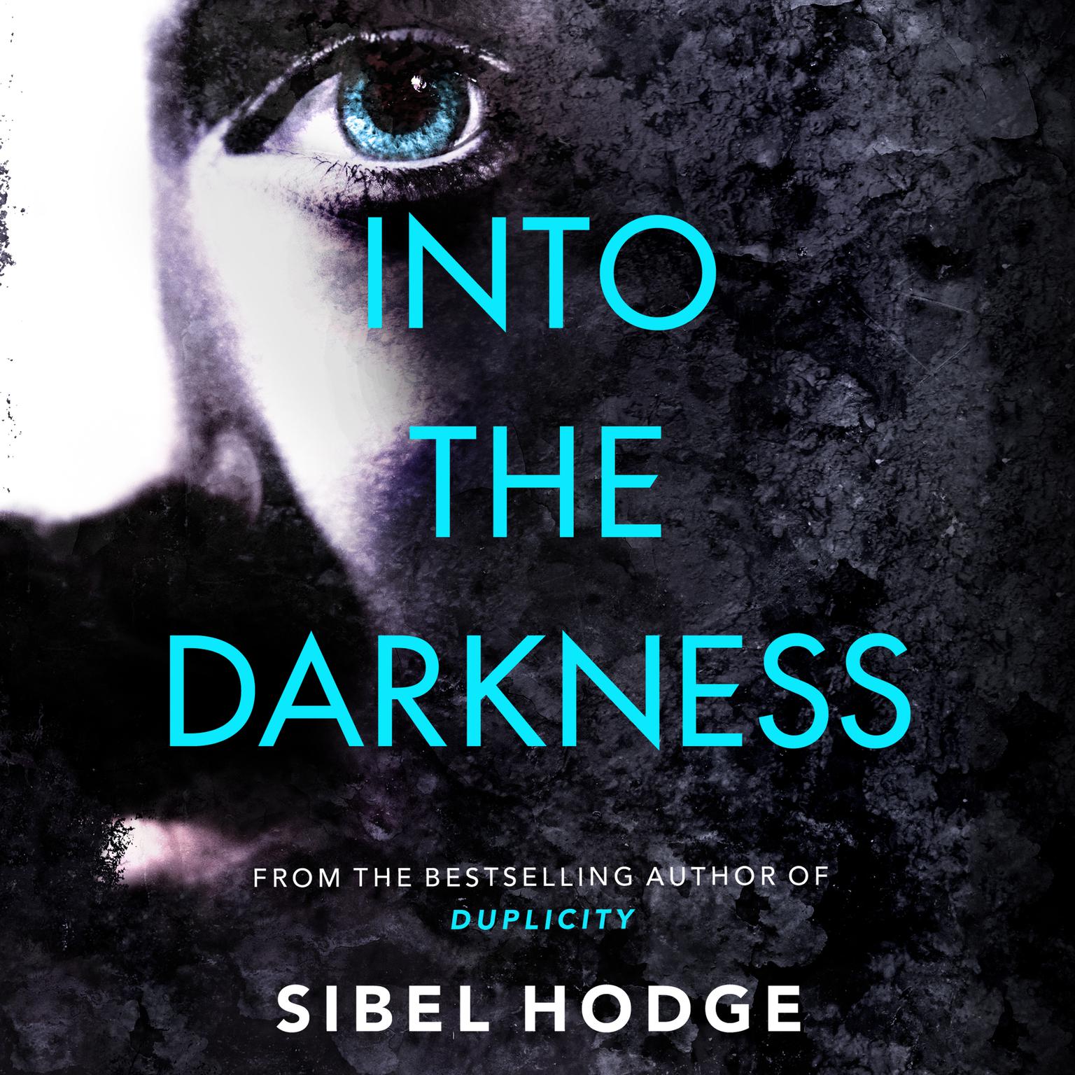 Into the Darkness Audiobook, by Sibel Hodge