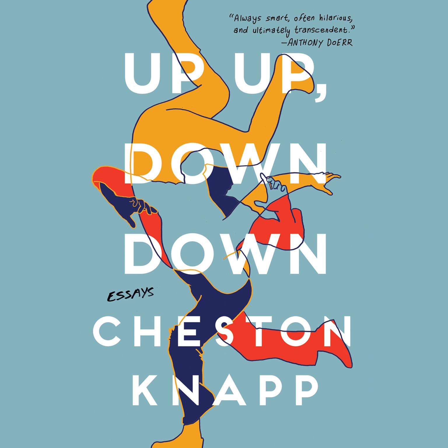 Up Up, Down Down: Essays Audiobook, by Cheston Knapp