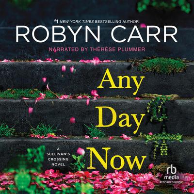 Any Day Now Audiobook, by 