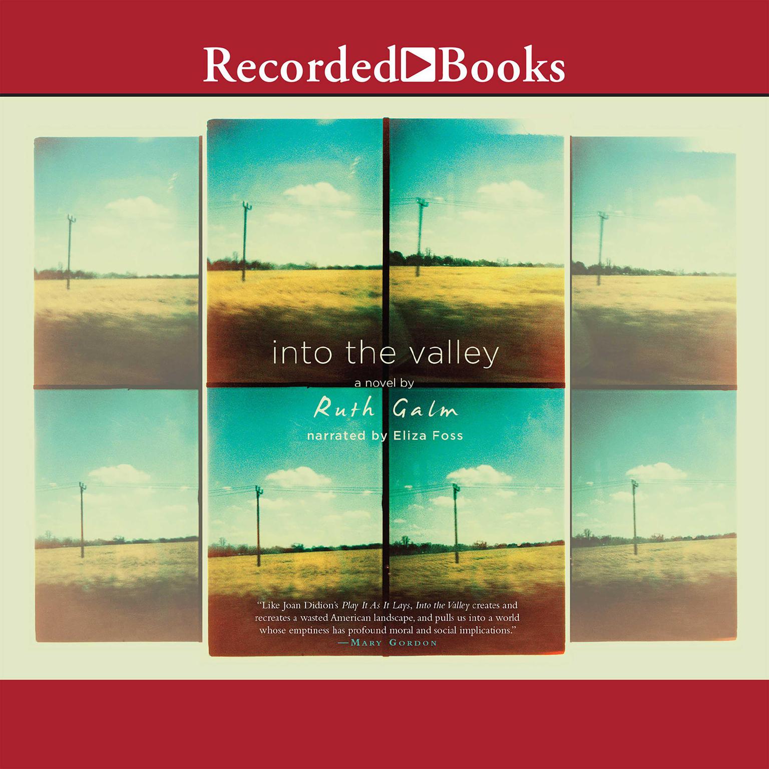 Into the Valley Audiobook, by Ruth Galm
