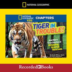 National Geographic Kids Chapters: Tiger in Trouble!: And More True Stories of Amazing Animal Rescues Audiobook, by Kelly Milner Halls