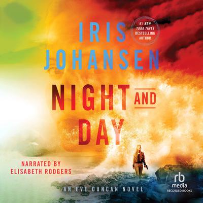 Night and Day Audiobook, by Iris Johansen