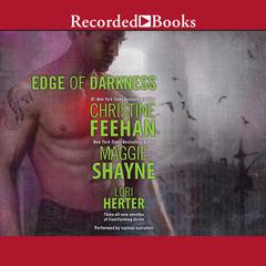 Edge of Darkness Audiobook, by Maggie Shayne