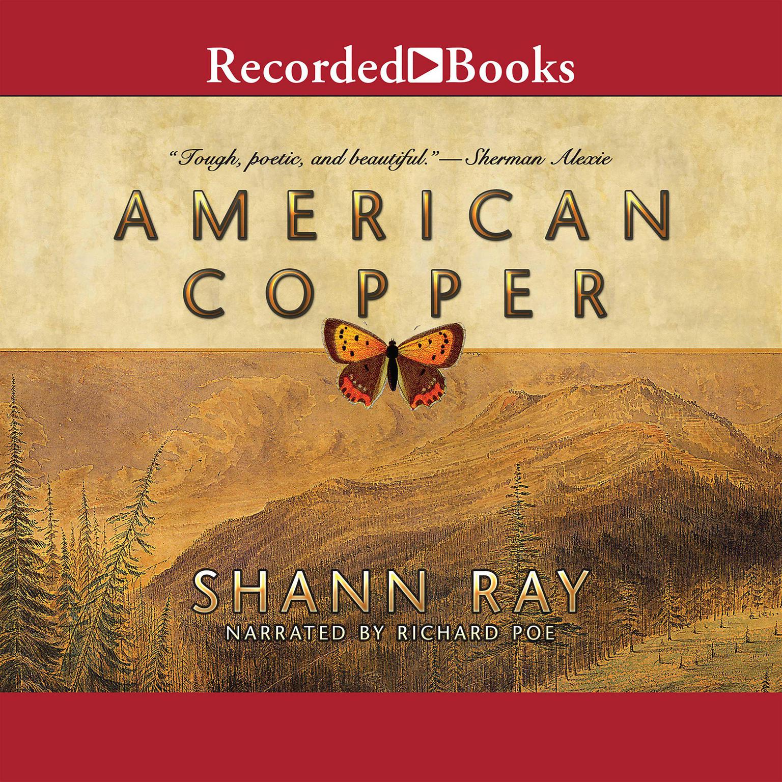 American Copper Audiobook, by Shann Ray