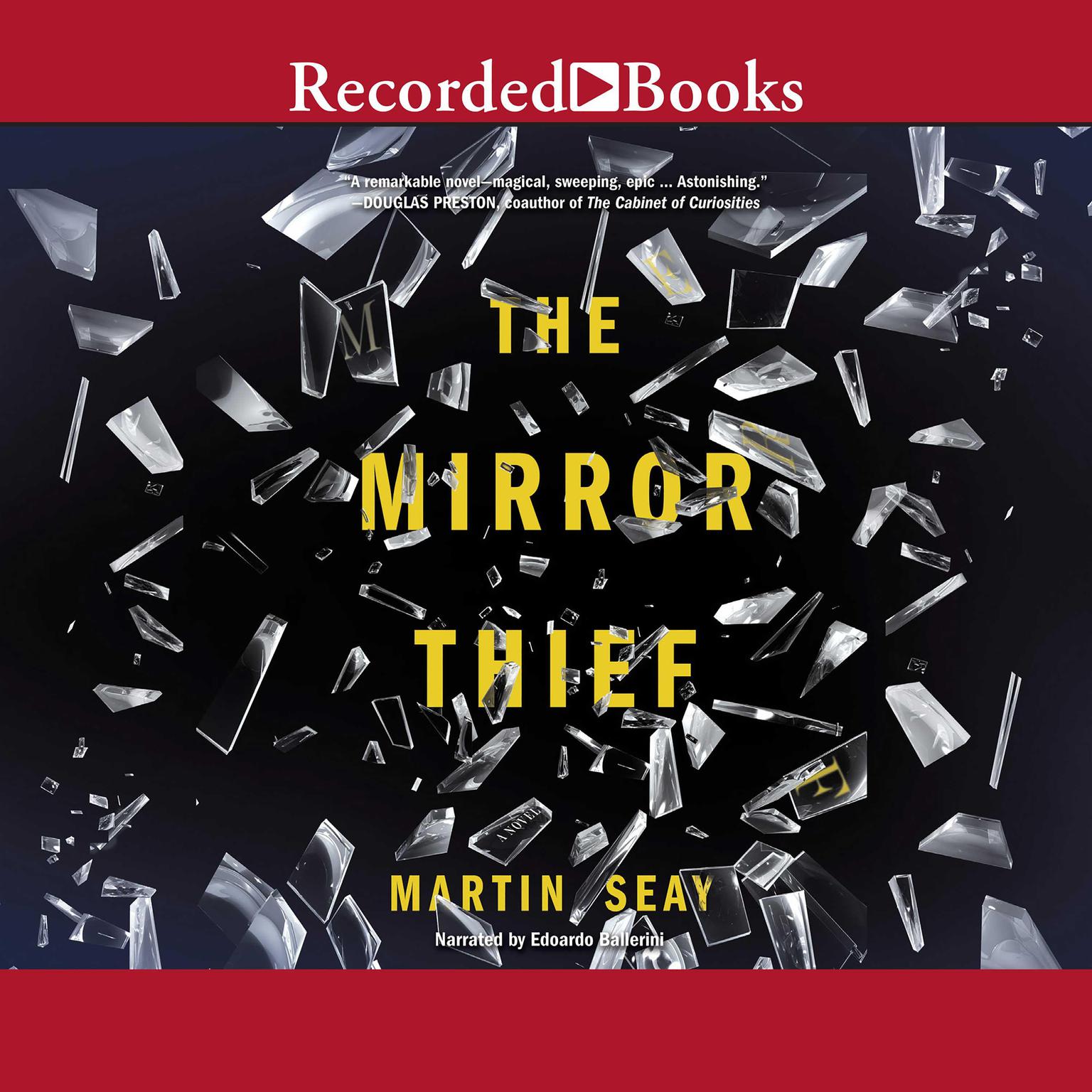 The Mirror Thief Audiobook, by Martin Seay