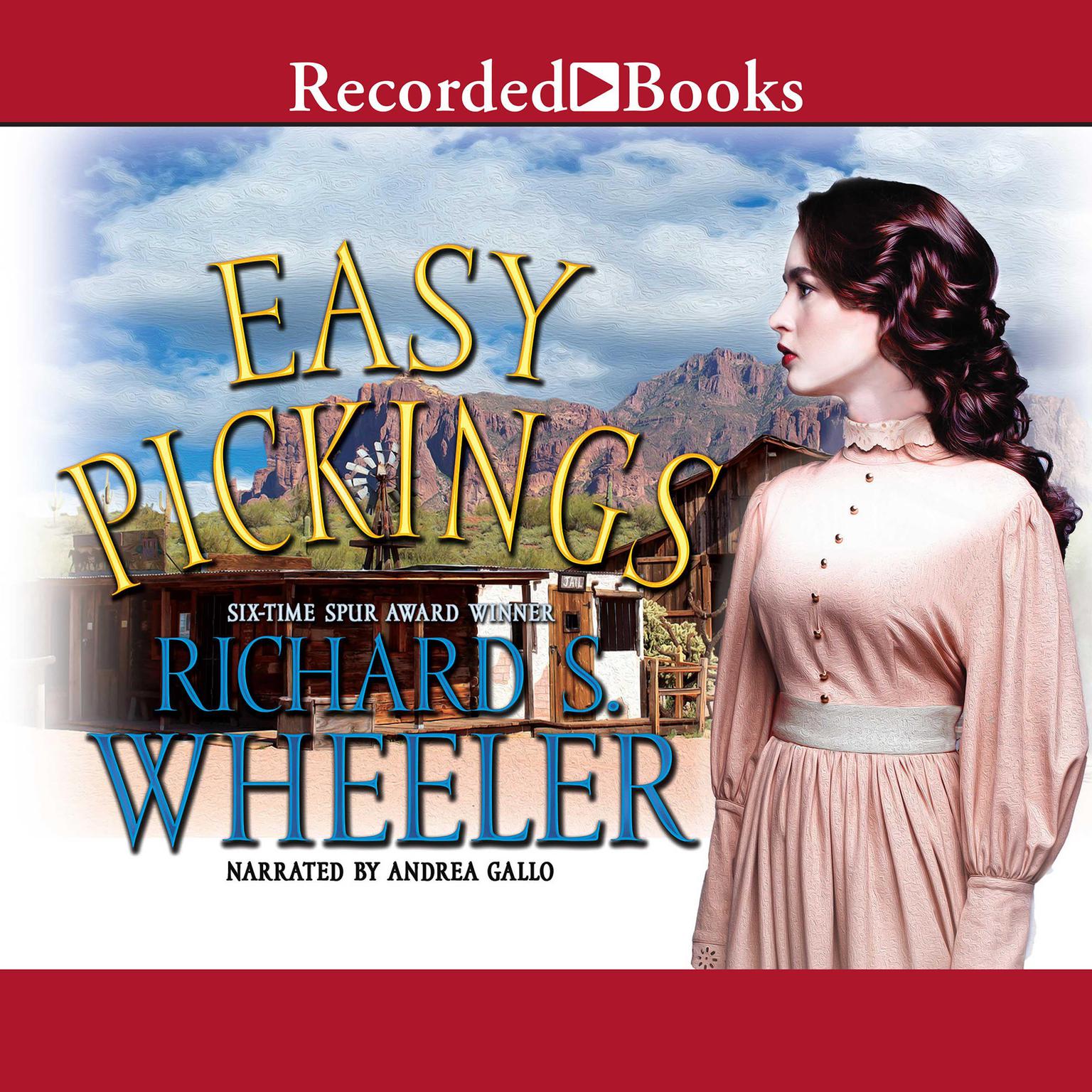 Easy Pickings Audiobook, by Richard S. Wheeler