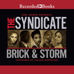 The Syndicate Audiobook, by 