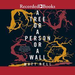 A Tree or a Person or a Wall: Stories Audiobook, by Matt Bell