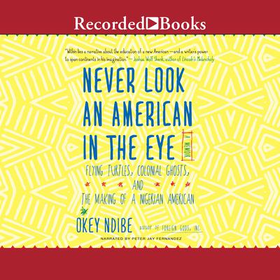Never Look an American in the Eye: A Memoir of Flying Turtles, Colonial Ghosts, and the Making of a Nigerian American Audiobook, by Okey Ndibe