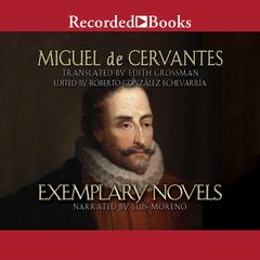 Exemplary Novels Audiobook, by Miguel de Cervantes