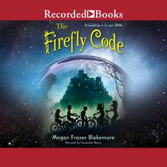 The Firefly Code Audiobook, by Megan Frazer Blakemore
