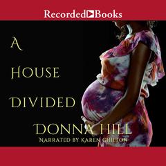 A House Divided Audiobook, by Donna Hill
