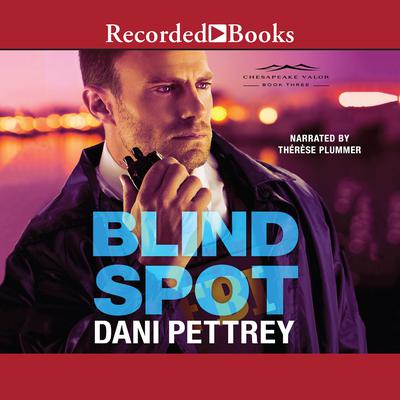 Blind Spot Audiobook, by 