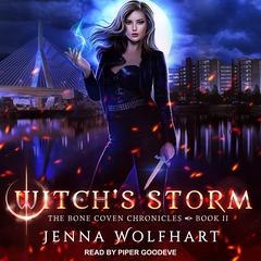 Witch's Storm Audiobook, by 