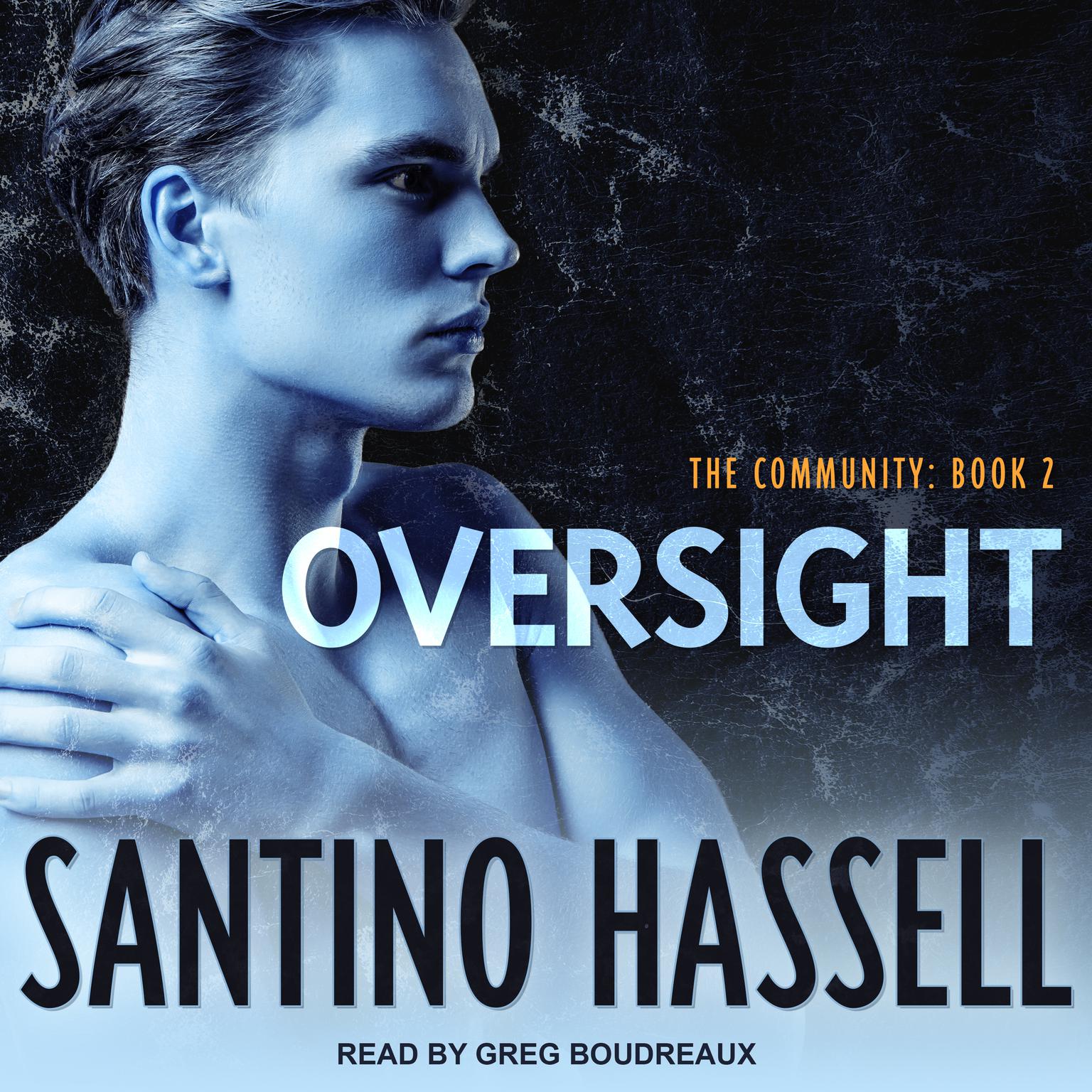 Oversight Audiobook, by Santino Hassell