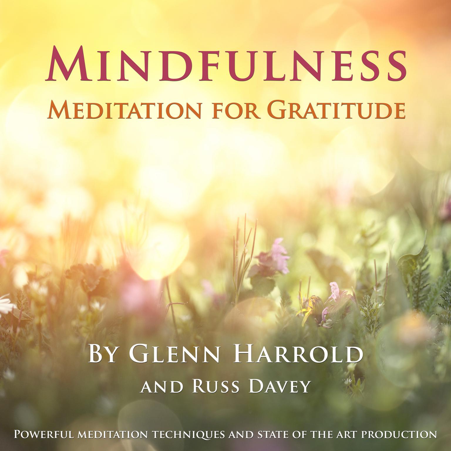 Mindfulness Meditation for Gratitude Audiobook, by Glenn Harrold