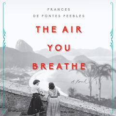 The Air You Breathe: A Novel Audiobook, by 