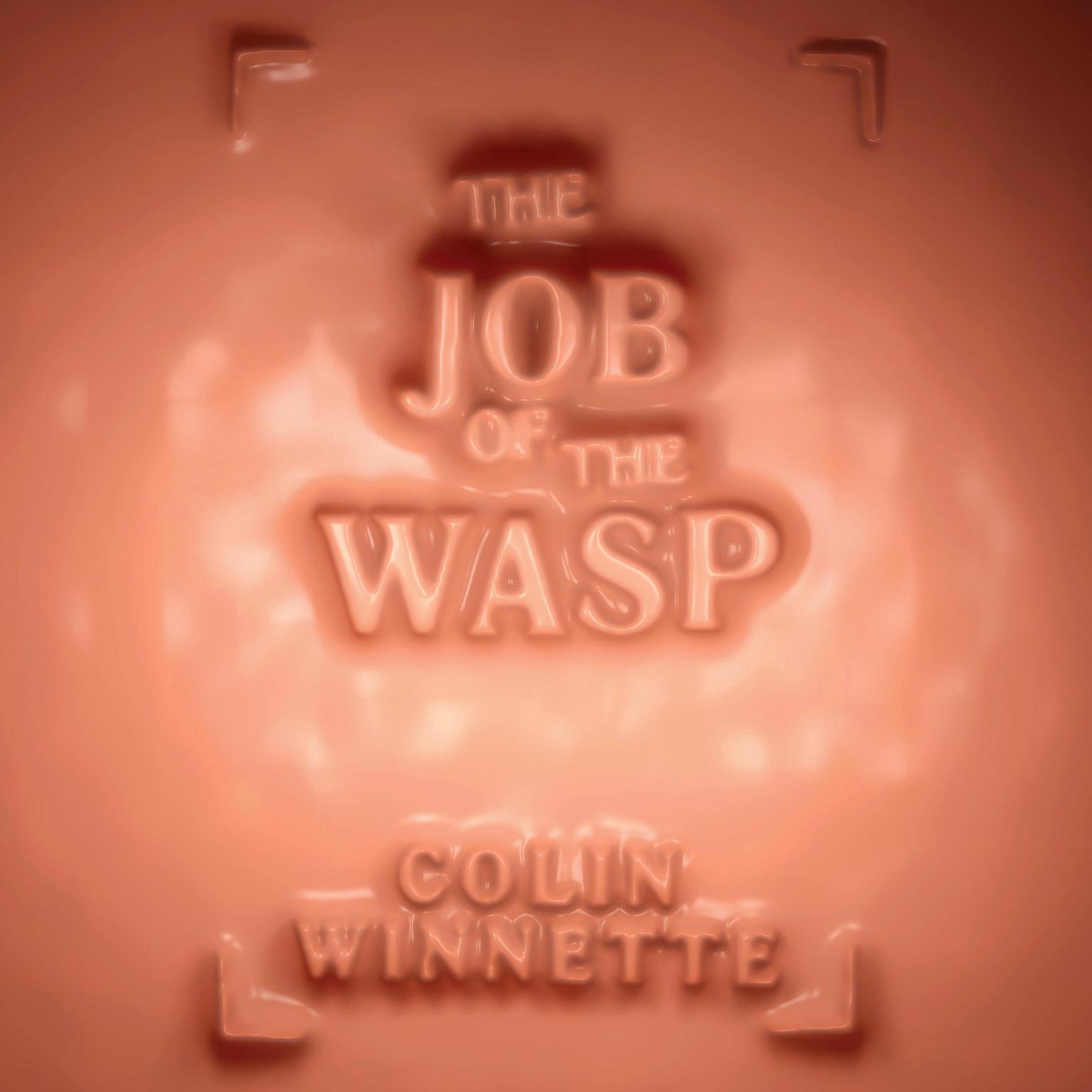The Job of the Wasp Audiobook, by Colin Winnette