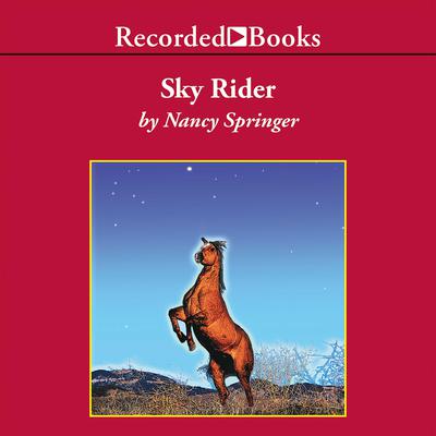 Sky Rider Audiobook, by Nancy Springer